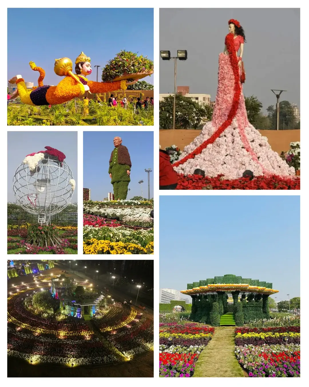 ahmedabad flower show this year