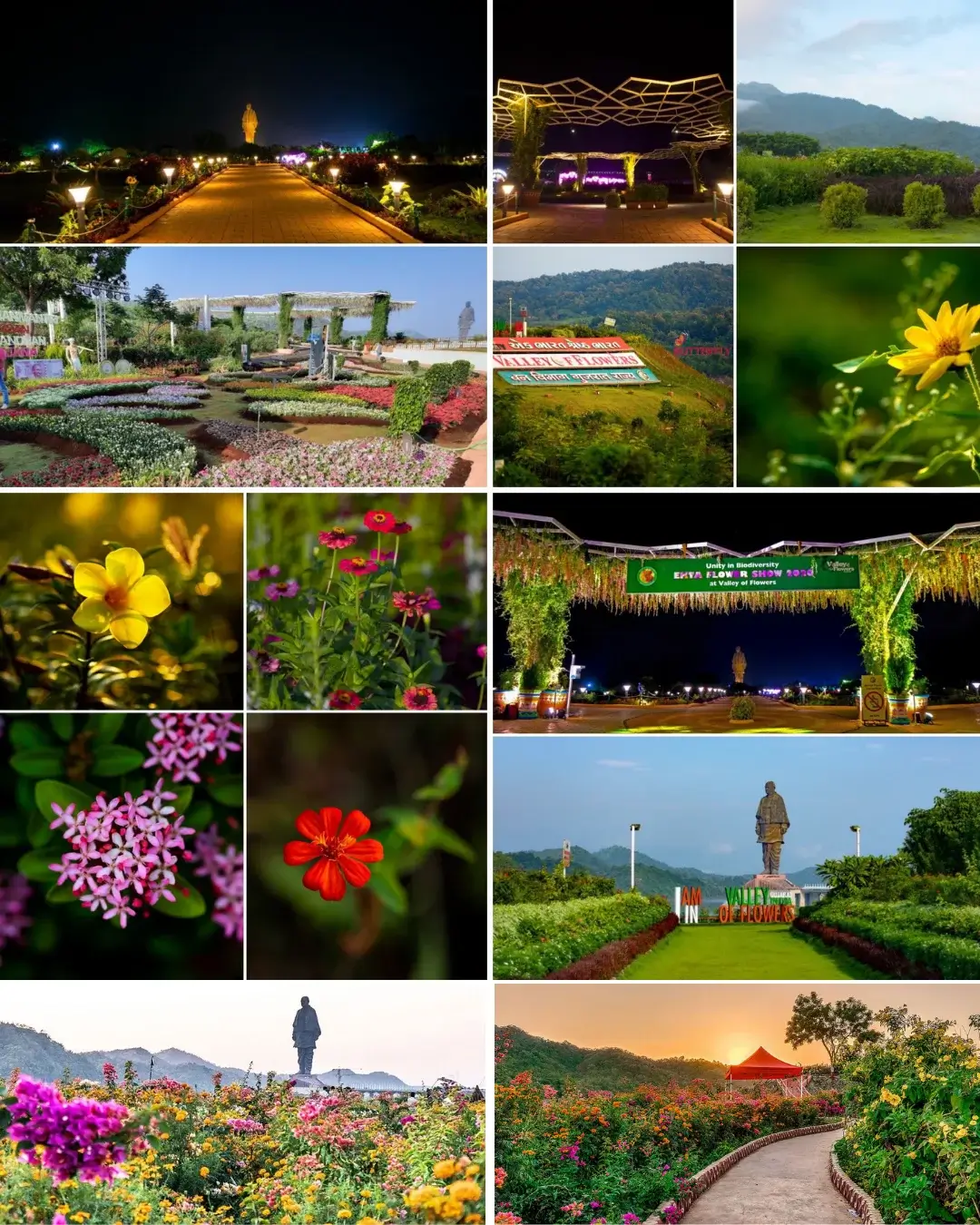 valley of flowers statue of unity from Ahmedabad