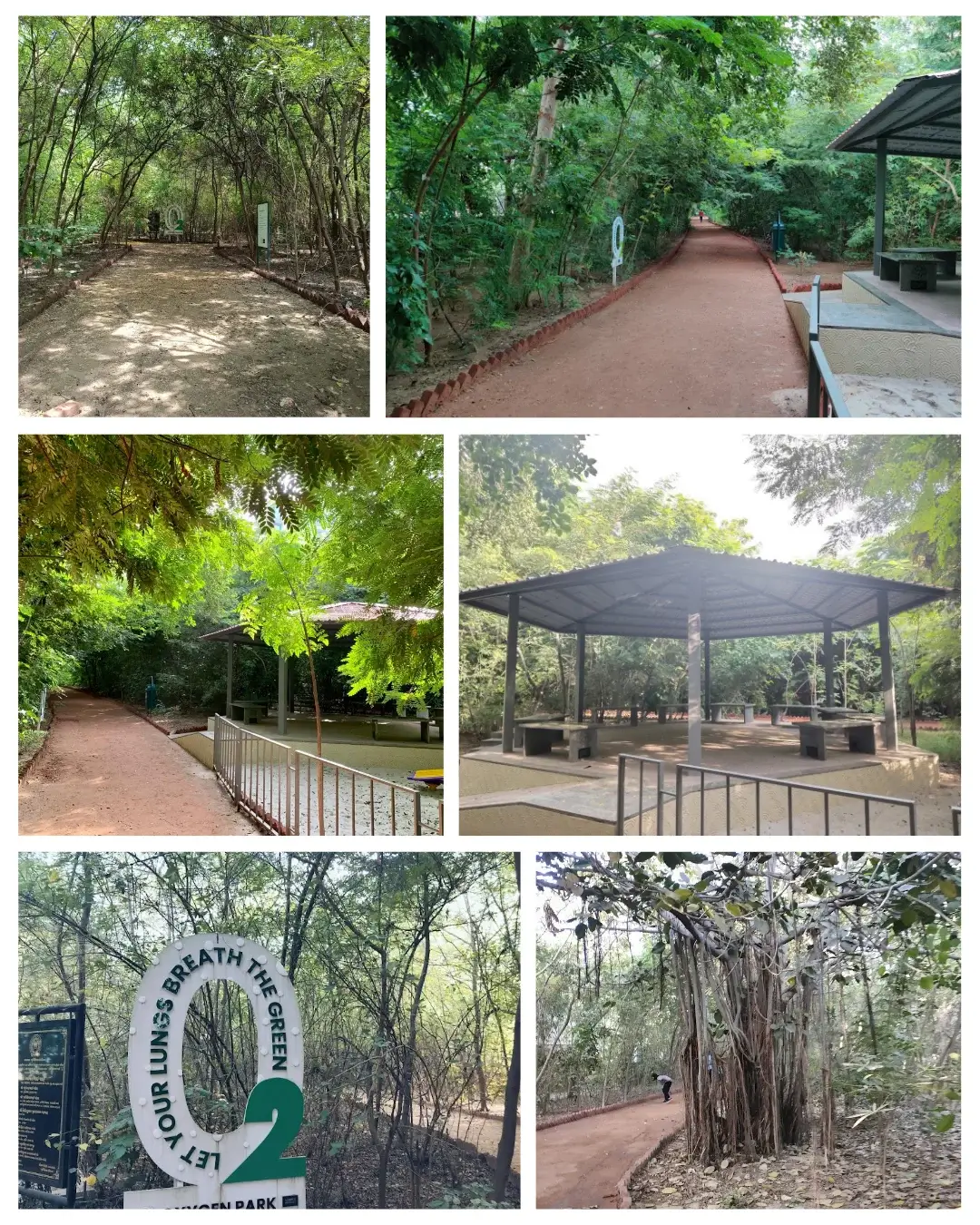 Oxygen Park Thaltej Hebatpur Ahmedabad 1